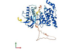 AlphaFold protein structure predicition of Human Recombinant MAPK8 Protein, UniprotID P45983