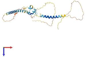LYSMD3 Protein (AA 1-305) (His tag)