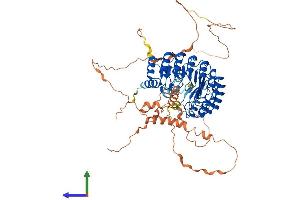Protein Structure (PS) image for F-Box and Leucine-Rich Repeat Protein 17 (FBXL17) (AA 1-701) protein (His tag) (ABIN7561836)