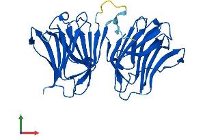 AlphaFold protein structure predicition of Mouse Recombinant Lgals6 Protein, UniprotID O54891