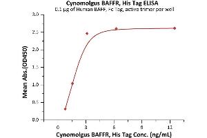 ELISA image for Tumor Necrosis Factor Receptor Superfamily, Member 13C (TNFRSF13C) (AA 7-76) (Active) protein (His tag) (ABIN7013191)