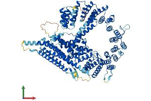 AlphaFold protein structure predicition of Human Recombinant NAA25 Protein, UniprotID Q14CX7