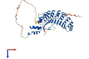SKP2 Protein (AA 1-424) (His tag)