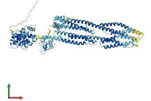 Protein Structure (PS) image for Actinin, alpha 1 (ACTN1) (AA 1-892) protein (His tag) (ABIN7558253)