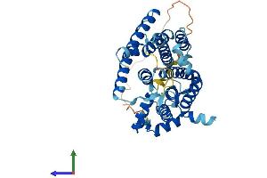 Protein Structure (PS) image for Sphingosine-1-Phosphate Phosphatase 2 (SGPP2) (AA 1-399) protein (His tag) (ABIN7546165)