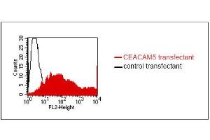 FACS analysis of BOSC23 cells using 26/3/13. (CEACAM5 Antikörper)