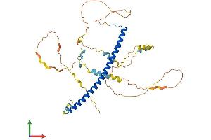 Protein Structure (PS) image for CCAAT/enhancer Binding Protein (C/EBP), alpha (CEBPA) (AA 1-359) protein (His tag) (ABIN7563431)