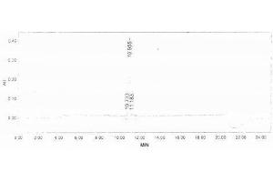 Image no. 2 for Islet Amyloid Polypeptide (IAPP) peptide (Ovalbumin) (ABIN5666250) (Islet Amyloid Polypeptide (IAPP) peptide (Ovalbumin))