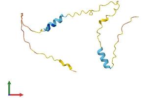 Protein Structure (PS) image for Host Cell Factor C1 Regulator 1 (XPO1 Dependent) (HCFC1R1) (AA 1-120) protein (His tag) (ABIN7560757)