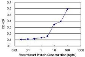 Detection limit for recombinant GST tagged STAT4 is 0. (STAT4 Antikörper  (AA 1-748))