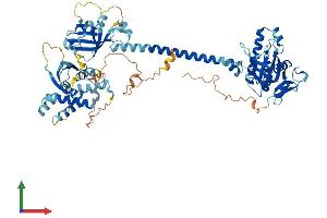 Protein Structure (PS) image for Guanylate Cyclase 1 Soluble Subunit Alpha (GUCY1A1) (AA 1-691) protein (His tag) (ABIN7561441)