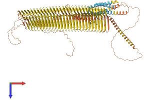 PLIN4 Protein (AA 1-1403) (His tag)