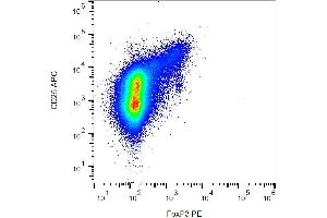 Intracellular staining of human peripheral blood cells (gated on CD4+ cells) with anti-FoxP3 (clone 3G3) PE. (FOXP3 Antikörper  (PE))