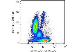 Intracellular staining of human peripheral blood with anti-Bcl2 (Bcl-2/100) APC. (Bcl-2 Antikörper  (AA 41-54) (APC))