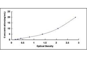 Typical standard curve (GJB6 ELISA Kit)