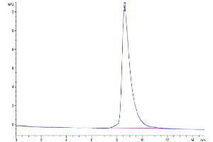 MXRA8 Protein (AA 20-340) (His tag)