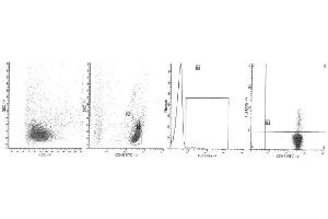 Image no. 1 for anti-Interleukin 2 (IL2) antibody (PE) (ABIN1107823) (IL-2 Antikörper  (PE))