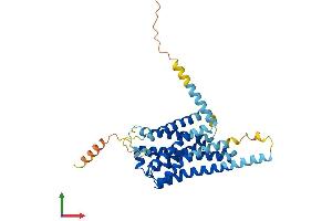AlphaFold protein structure predicition of Mouse Recombinant Gpr52 Protein, UniprotID P0C5J4 (GPR52 Protein (AA 1-361) (His tag))
