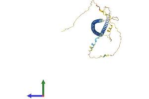 AlphaFold protein structure predicition of Mouse Recombinant Ccdc92 Protein, UniprotID Q8VDN4 (CCDC92 Protein (AA 1-314) (His tag))