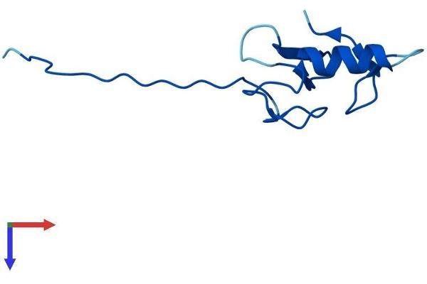 ANAPC11 Protein (AA 1-84) (Fc Tag)