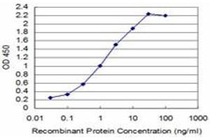 Detection limit for recombinant GST tagged T is approximately 0. (T Brachyury Protein (AA 222-320) Antikörper)