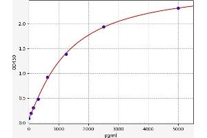 Typical standard curve (Claudin 9 ELISA Kit)