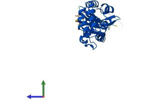 Protein Structure (PS) image for serine/threonine Kinase 19 (STK19) (AA 1-254) protein (His tag) (ABIN7561513)