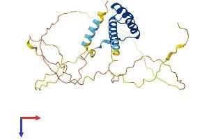 PHOX2A Protein (AA 1-280) (His tag)