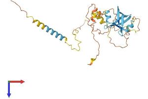 NRIP2 Protein (AA 1-270) (His tag)