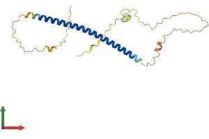 AlphaFold protein structure predicition of Mouse Recombinant Tex35 Protein, UniprotID Q14BK3