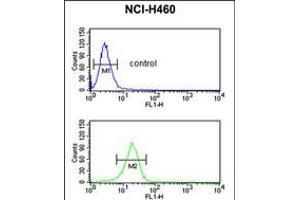 Flow Cytometry (FACS) image for anti-FK506 Binding Protein 10, 65 KDa (FKBP10) (AA 57-87), (N-Term) antibody (ABIN5531170)