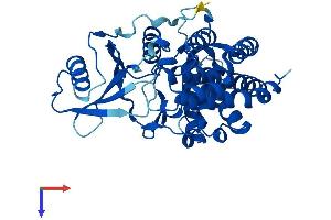Ethanolamine Kinase 1 Protein (ETNK1) (AA 1-363) (His tag)