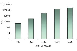 ELISA image for SensoLyte® 520 FRET SIRT2 Assay Kit (ABIN1882556) (SensoLyte® 520 FRET SIRT2 Assay Kit)