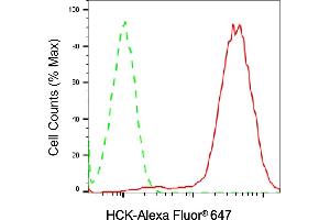 anti-Hemopoietic Cell Kinase (HCK) antibody