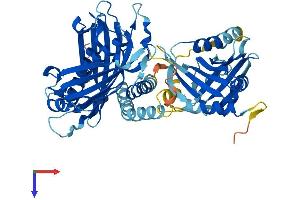 ACOT12 Protein (AA 1-556) (His tag)
