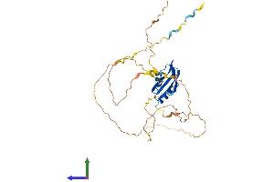 AlphaFold protein structure predicition of Human Recombinant RBFOX3 Protein, UniprotID A6NFN3 (NeuN Protein (AA 1-312) (His tag))