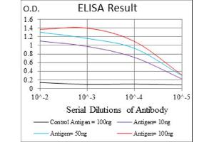 Red: Control Antigen (100ng) ; Purple: Antigen (10ng) ; Green: Antigen (50ng) ; Blue: Antigen (100ng). (BPIFB1 Antikörper)