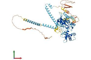 Protein Structure (PS) image for Guanine Nucleotide Binding Protein-Like 3 (Nucleolar)-Like (GNL3L) (AA 1-582) protein (His tag) (ABIN7554022)