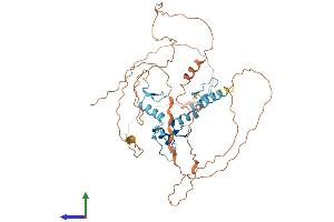 Protein Structure (PS) image for Wilms Tumor 1 (WT1) (AA 1-449) protein (His tag) (ABIN7545142)