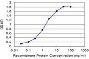Detection limit for recombinant GST tagged ATP7B is approximately 0. (ATP7B Antikörper  (AA 1372-1465))