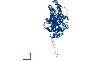 Protein Structure (PS) image for 2'-5' Oligoadenylate Synthetase 1A (OAS1A) (AA 1-367) protein (His tag) (ABIN7562844)