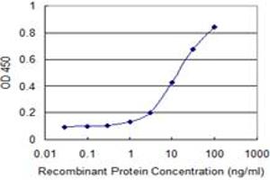 Detection limit for recombinant GST tagged SIGLEC12 is 0. (SIGLEC12 Antikörper  (AA 503-595))