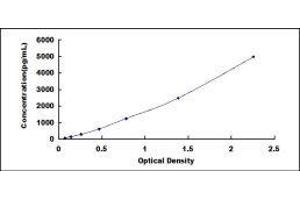 Typical standard curve (MMP12 ELISA Kit)