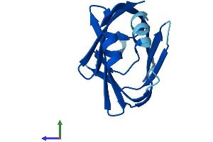 Protein Structure (PS) image for Fatty Acid Binding Protein 12 (FABP12) (AA 1-132) protein (His tag) (ABIN7561226)