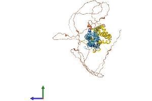 Protein Structure (PS) image for Pannexin 2 (PANX2) (AA 1-677) protein (His tag) (ABIN7550659)