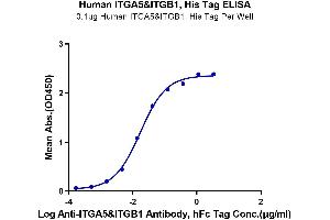 Immobilized Human ITGA5&ITGB1, His Tag at 1 μg/mL (100 μL/well) on the plate.