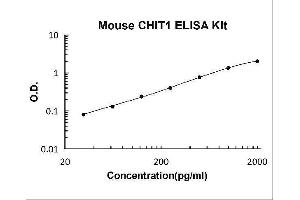 Chitotriosidase (CHIT1) ELISA Kit