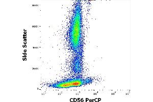 Flow cytometry surface staining pattern of human peripheral whole blood stained using anti-human CD56 (LT56) PerCP antibody (10 μL reagent / 100 μL of peripheral whole blood). (CD56 Antikörper  (PerCP))