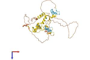 SCRT1 Protein (AA 1-348) (His tag)