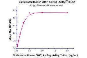 Binding Studies (Bind) image for CD47 (CD47) (AA 19-139) (Active) protein (Fc Tag,AVI tag,Biotin) (ABIN2870532)